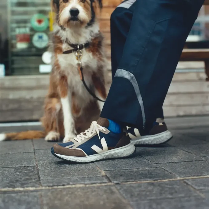 Condor Royale Alveomesh Black Cashew Eagle